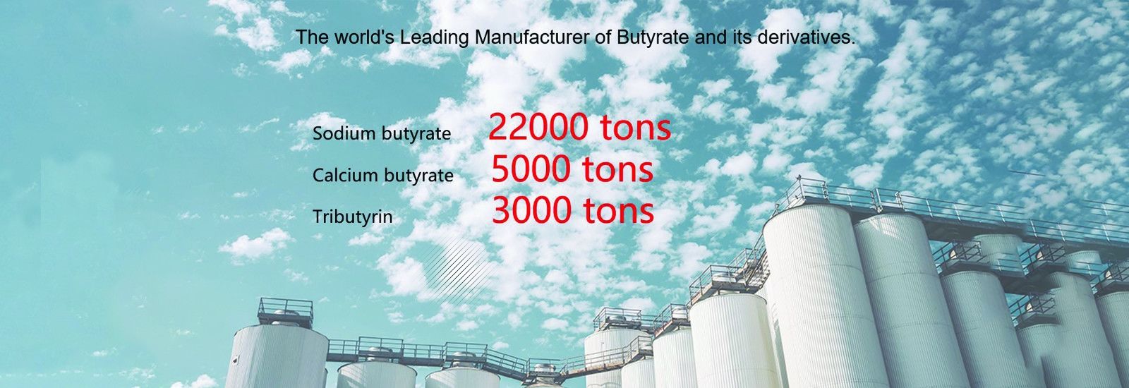 proszek maślanowy sodu