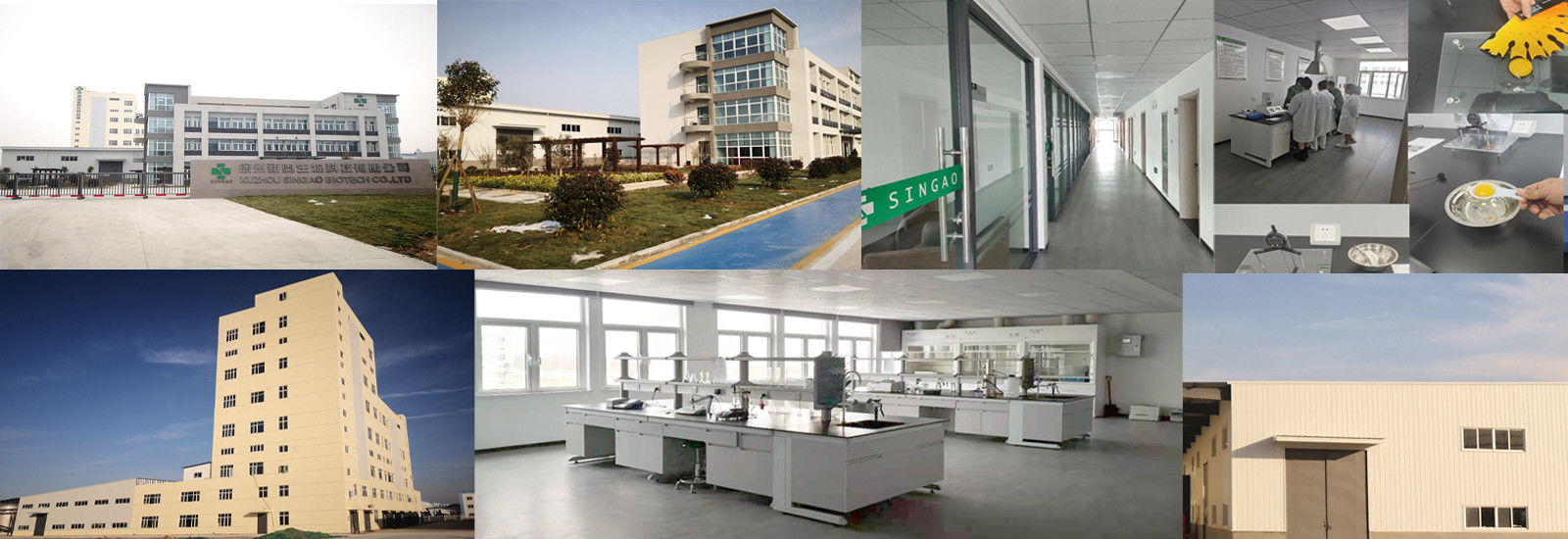 Powlekany Maślan Sodu