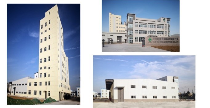 Singao (Xiamen) Agribusiness Development Co., Ltd. linia produkcyjna fabryki