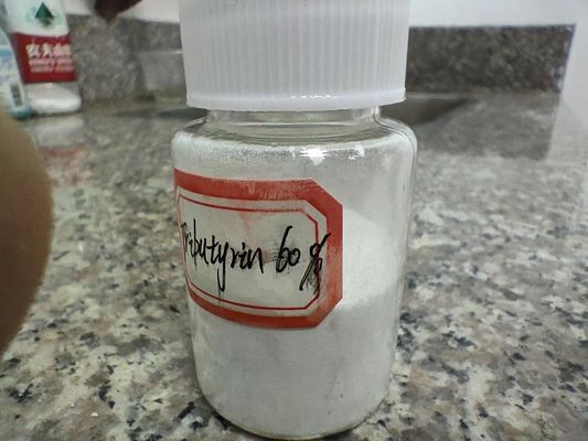 Minimalna 60% Trybutyryn Powder Promotion Growth dla świń