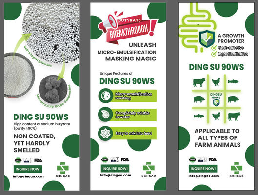 Bezwonny butyran sodu bez powłoki 90% dla wody