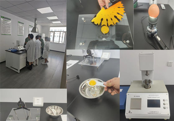 Mikroenkapsulowany maślan sodu 90% w postaci granulatu w kształcie kuli dla zwierząt