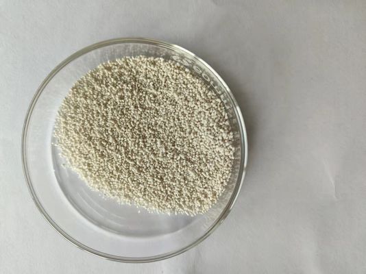 Slow Release  Coated Calcium Butyrate 75% CAS 5743-36-2 plus sodium butyrate 5% for poultry