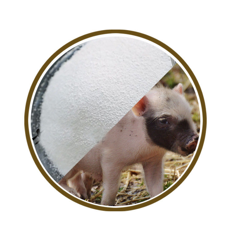 Powolne uwalnianie 70% powlekanego maślanu wapnia 55% CAS 5743-36-2 plus maślan sodu 15% dla akwakultury