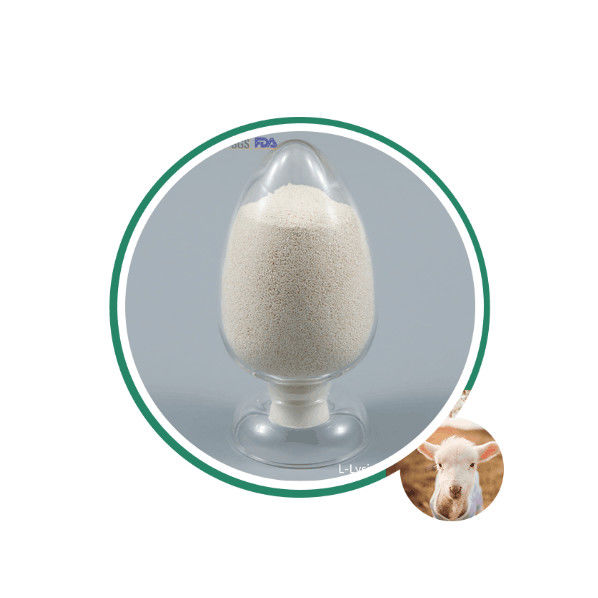 Powolne uwalnianie 80% butyran wapnia powlekany 50% plus butyran sodu 30% CAS 5743-36-2 dla wody